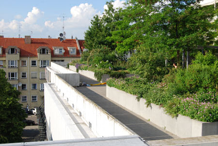 zeleni krov